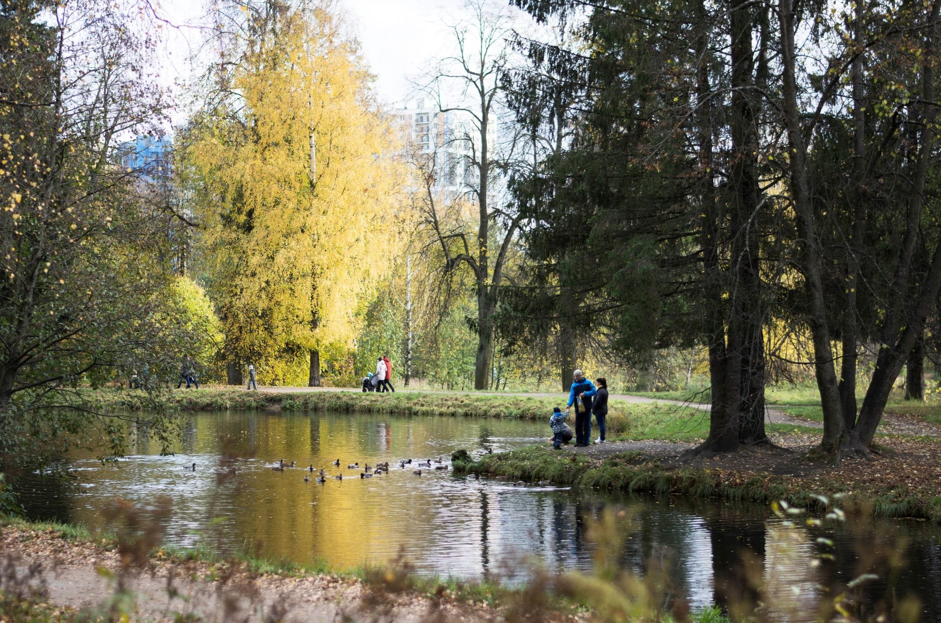 Rodzina spaceruje jesienią nad jeziorem w parku w Warszawie